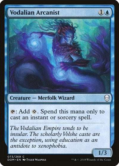 Vodalian Arcanist - Dominaria (#73, Common) - Near Mint