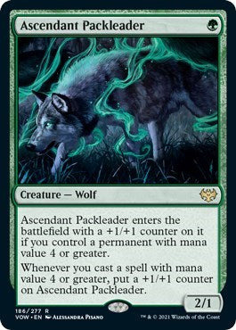 Ascendant Packleader (#186, Rare) Innistrad: Crimson Vow Lightly Played Magic: The Gathering: