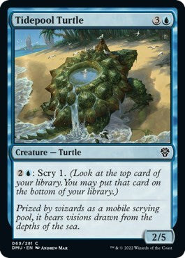 Tidepool Turtle - Dominaria United (#69, Common) - Near Mint