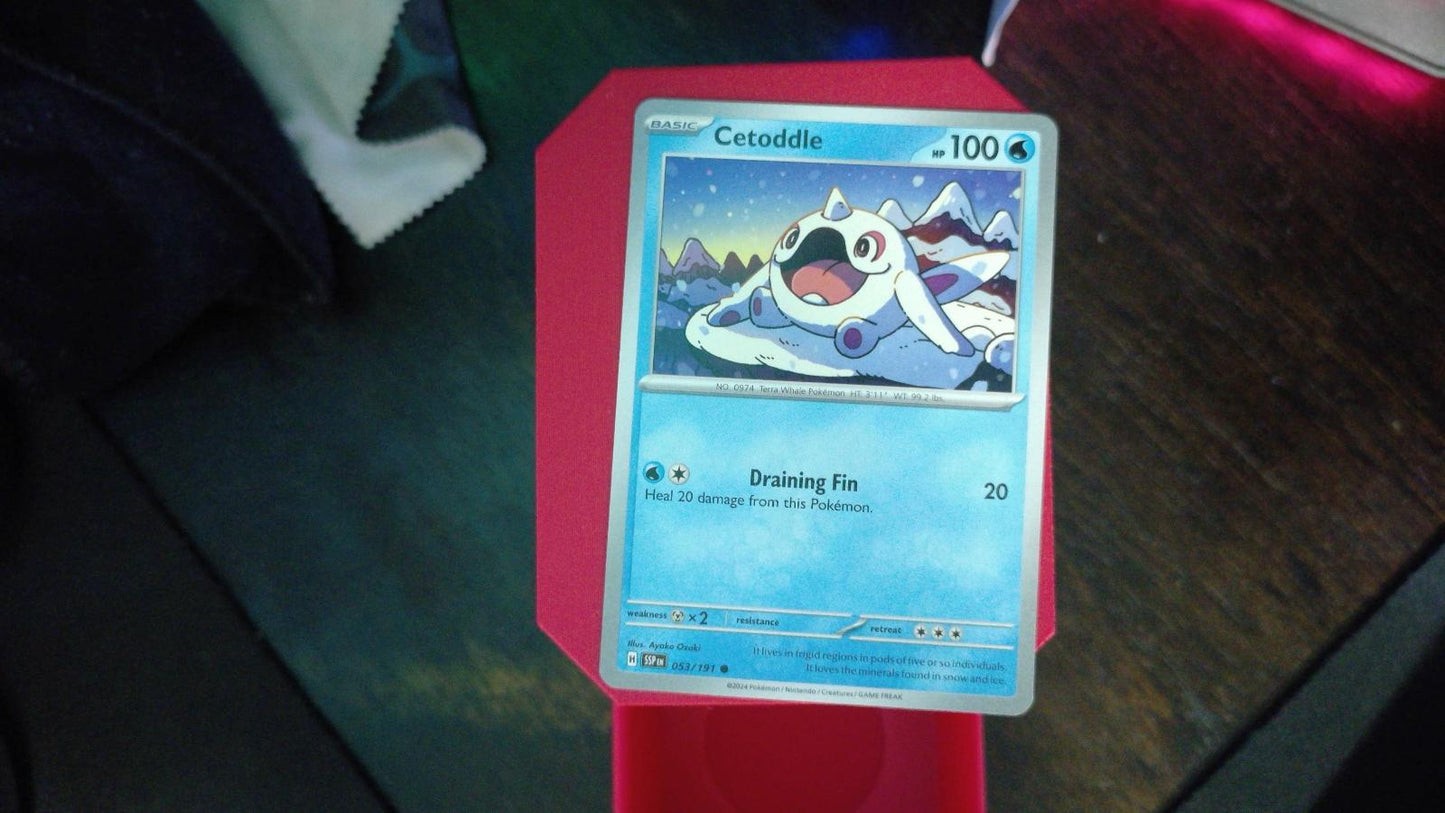 Cetoddle 053/191 Surging Sparks Pokemon C NM