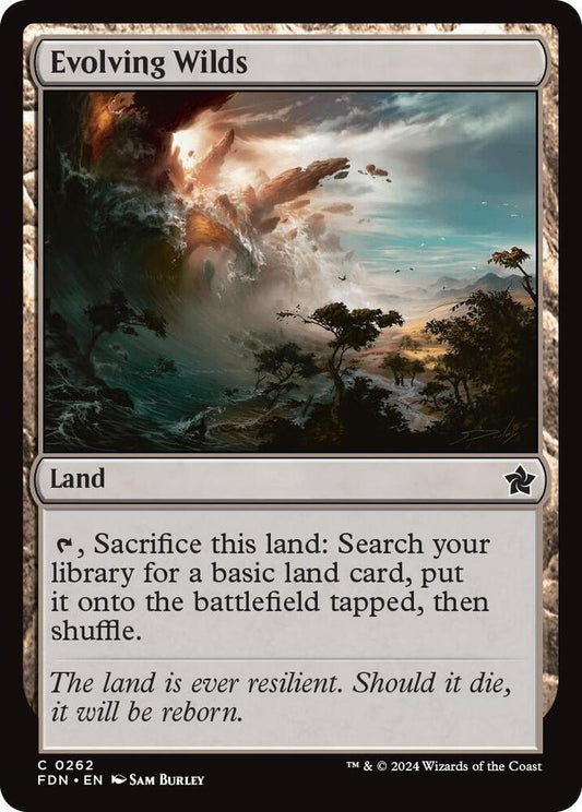 Evolving Wilds 262 Foundations MTG C NM