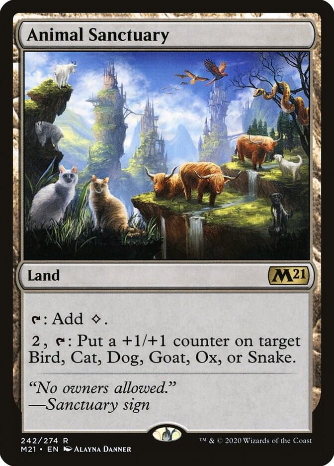 Animal Sanctuary 242 Core Set 2021 MTG R NM