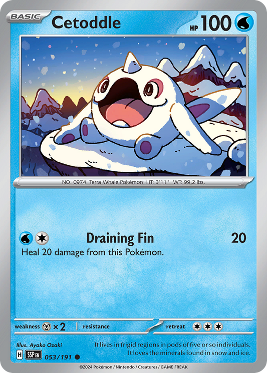 Cetoddle 053/191 Surging Sparks Pokemon C NM