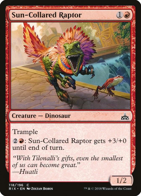 Sun-Collared Raptor 118 Rivals of Ixalan MTG C NM