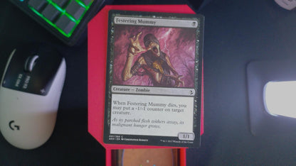Festering Mummy 91 Amonkhet MTG C LP