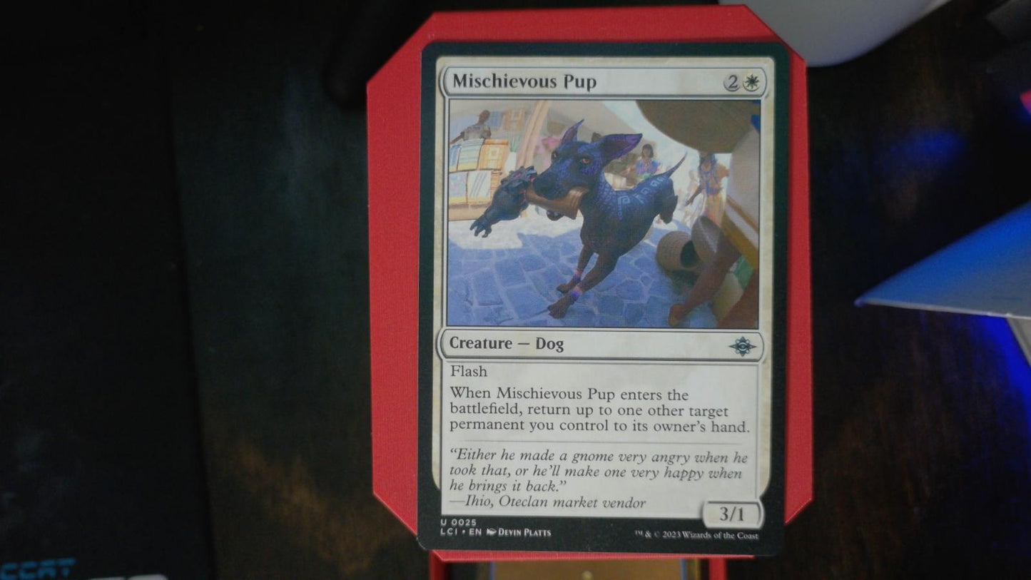 Mischievous Pup 25 The Lost Caverns of Ixalan MTG UC NM