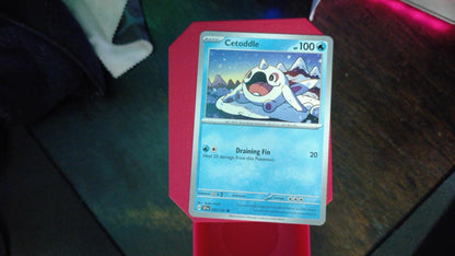 Cetoddle 053/191 Surging Sparks Pokemon C NM