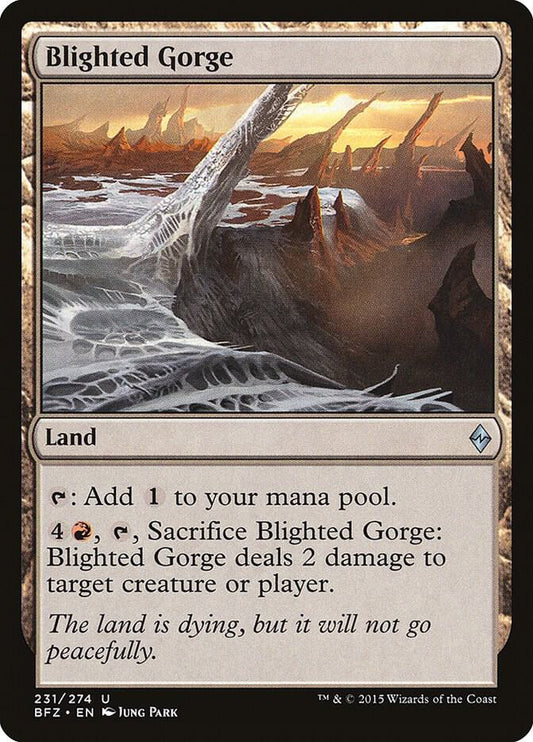 Blighted Gorge 231 Battle for Zendikar MTG UC NM