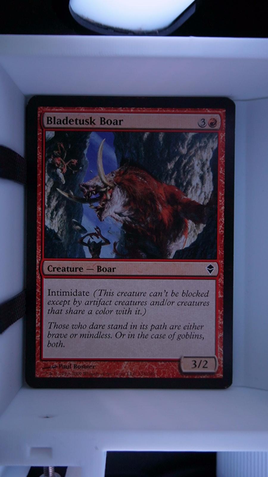 Bladetusk Boar 118 Zendikar MTG C NM