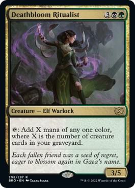 Deathbloom Ritualist 208 The Brothers' War MTG R NM