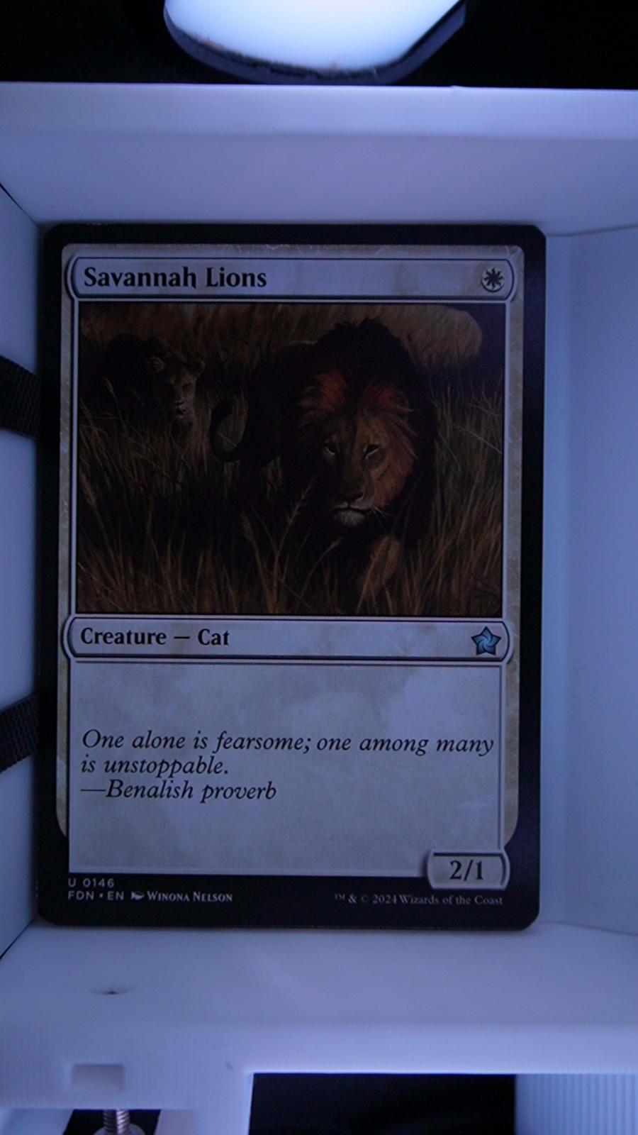 Savannah Lions 146 Foundations MTG UC NM