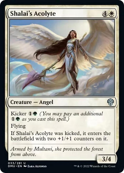 Shalai's Acolyte 33 Dominaria United MTG UC NM