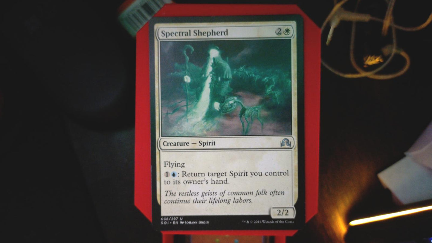 Spectral Shepherd 38 Shadows over Innistrad MTG UC NM