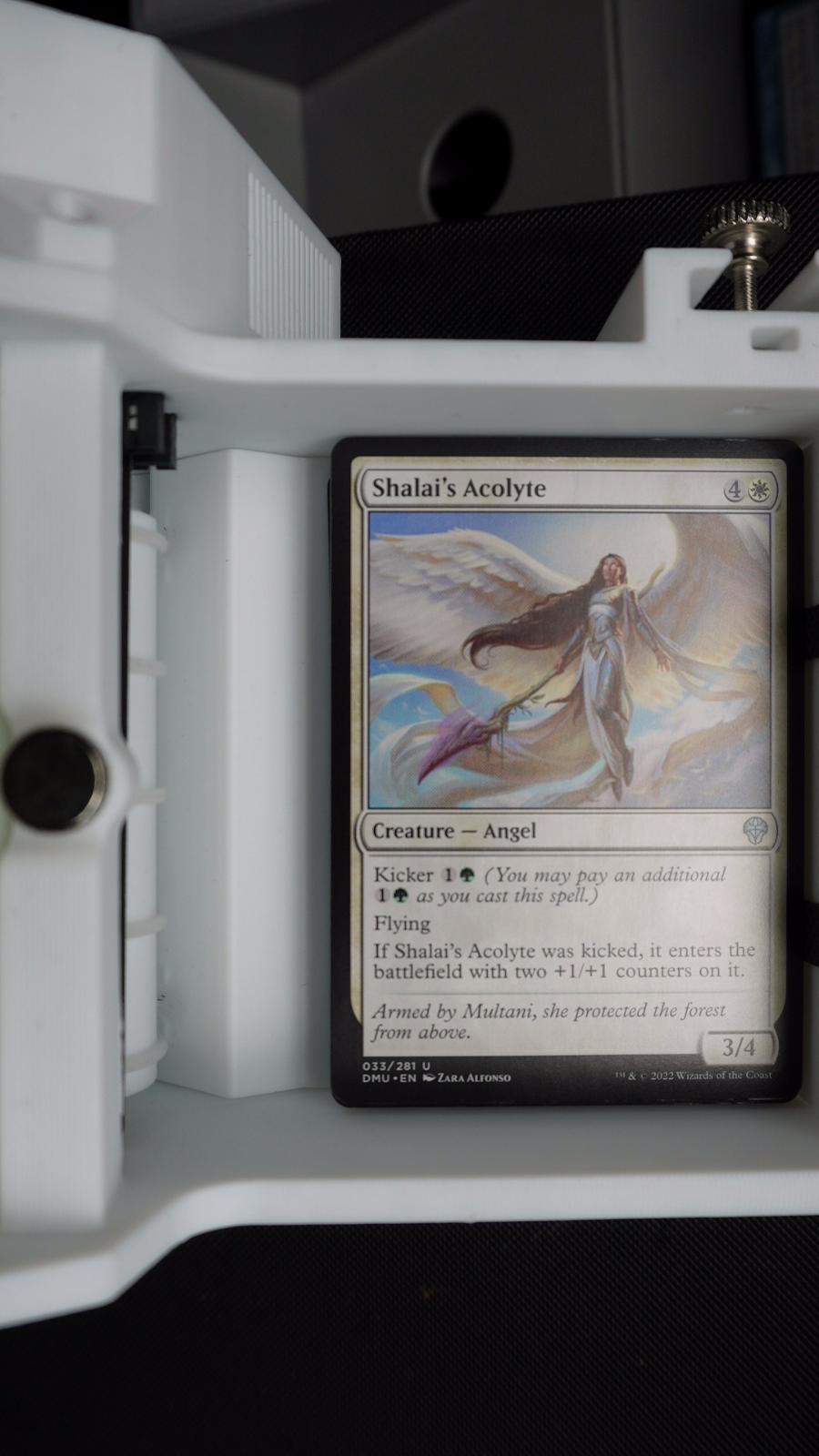 Shalai's Acolyte 33 Dominaria United MTG UC NM